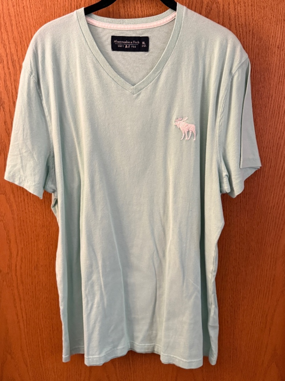 Mens XL light pastel green Abercrombie & Fitch v neck t shirt